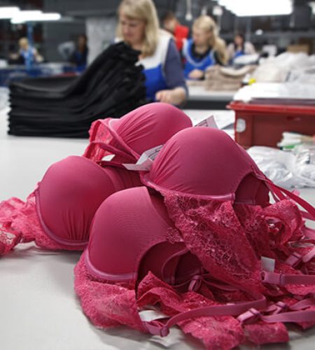 Bra Manufacturing Professional bra manufacturing in a lingerie sewing company Cann