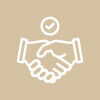 Cooperation with fashion and lingerie brands Cooperation with fashion and lingerie brands through professional production partnerships